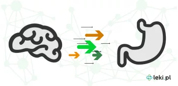 Ilustracja poradnika Jak mikrobiom jelitowy wpływa na nasz mózg?