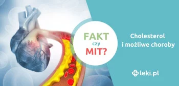 Ilustracja poradnika Cholesterol i możliwe choroby — fakty i mity