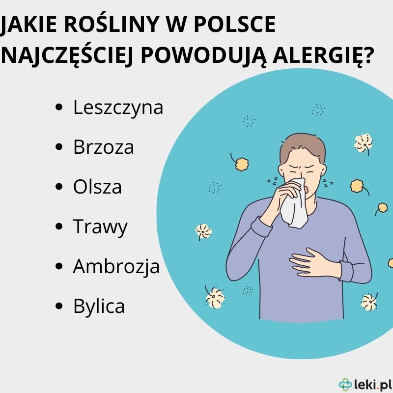 Jakie rośliny pyl w Polsce?