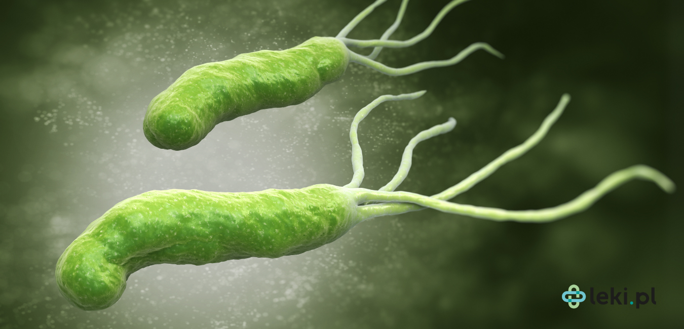 Helicobacter pylori — stały bywalec ludzkich żołądków