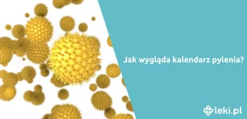 Ilustracja poradnika Alergia na pyłki. Jak wygląda aktualny kalendarz pylenia?