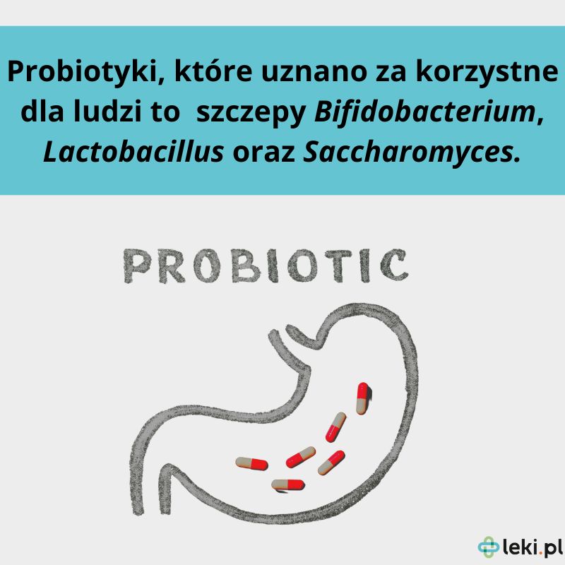 Dobry probiotyk dla dorosłych.