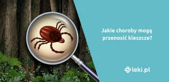 Ilustracja poradnika Jakie choroby mogą przenosić kleszcze?