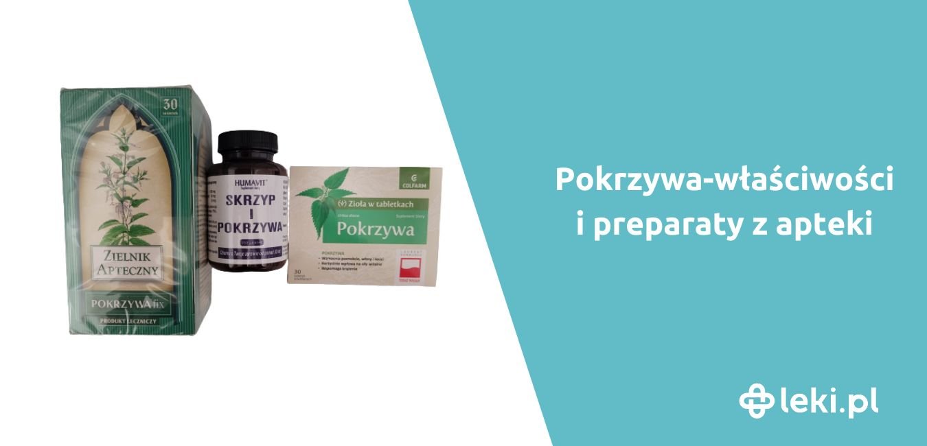 Pokrzywa – właściwości lecznicze i zastosowanie