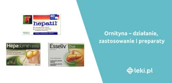 Ilustracja poradnika Ornityna – działanie, zastosowanie i preparaty