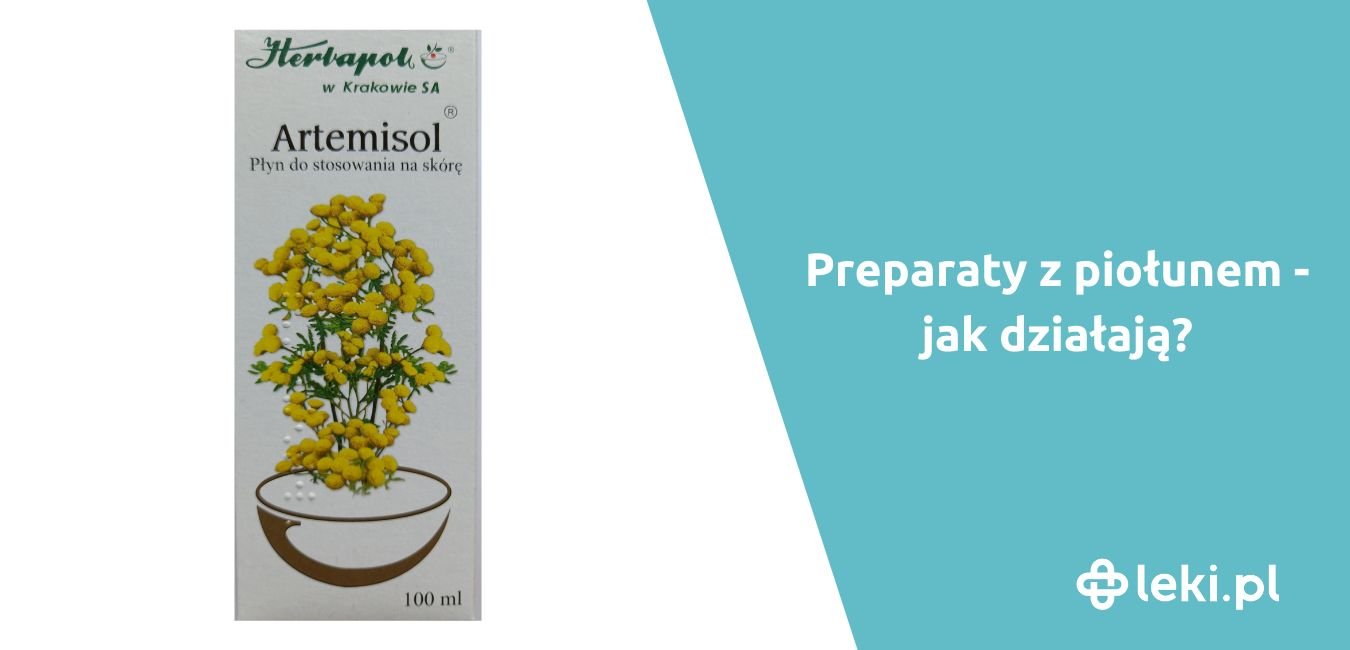 Piołun – jakie ma właściwości i na co pomaga?