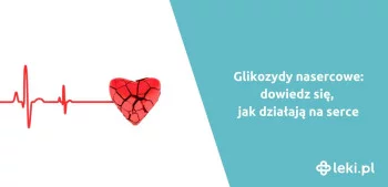 Ilustracja poradnika Jak działają glikozydy nasercowe?