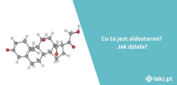 Ilustracja poradnika Jak działa aldosteron?