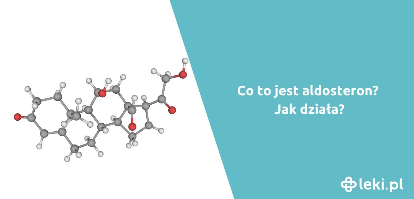 Jak działa aldosteron?