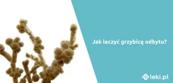 Ilustracja poradnika Jakie są leki na grzybicę odbytu?