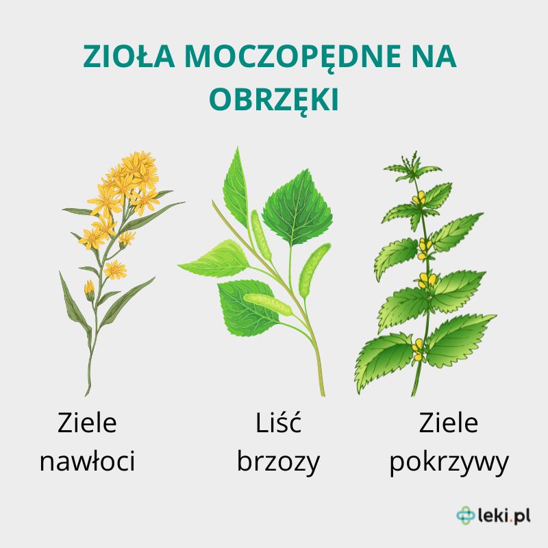 Zioła na obrzęki.