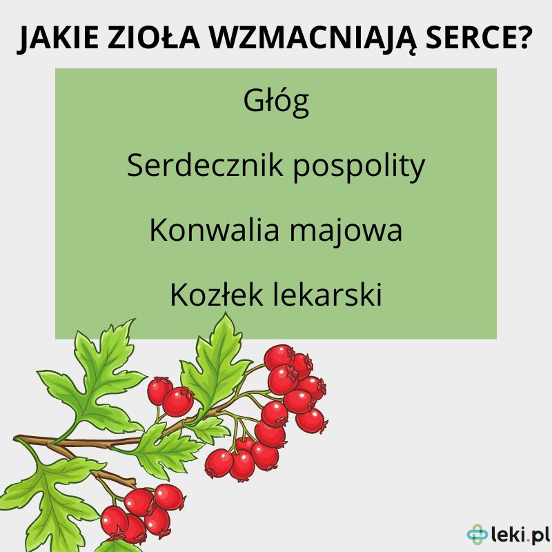 Jakie zioła wzmacniają serce?