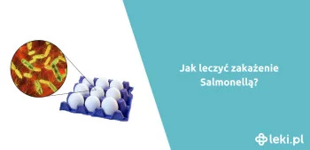 Ilustracja poradnika Jak leczyć Salmonelle?