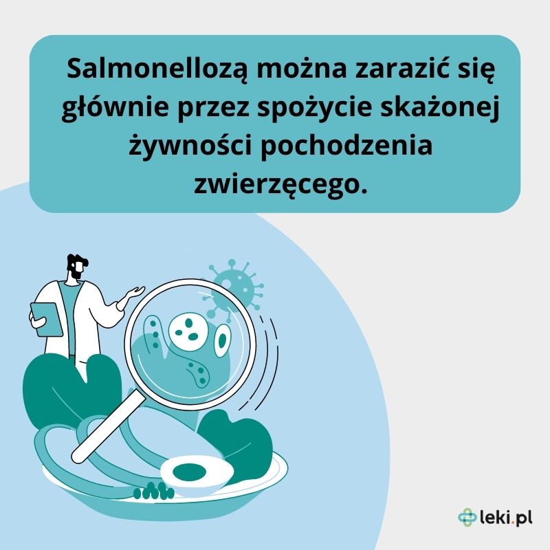 Jak można zarazić się Salmonellą?