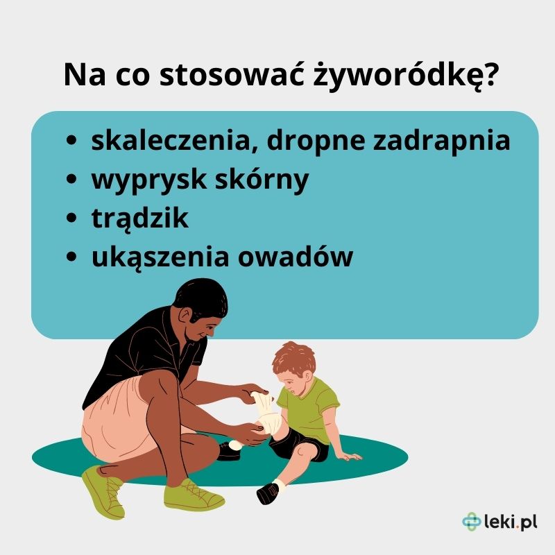 Na co stosować żyworódkę? 