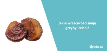 Ilustracja poradnika Grzyby Reishi – jakie mają właściwości? Poznaj je bliżej!