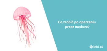 Ilustracja poradnika Co zrobić po oparzeniu meduzy?