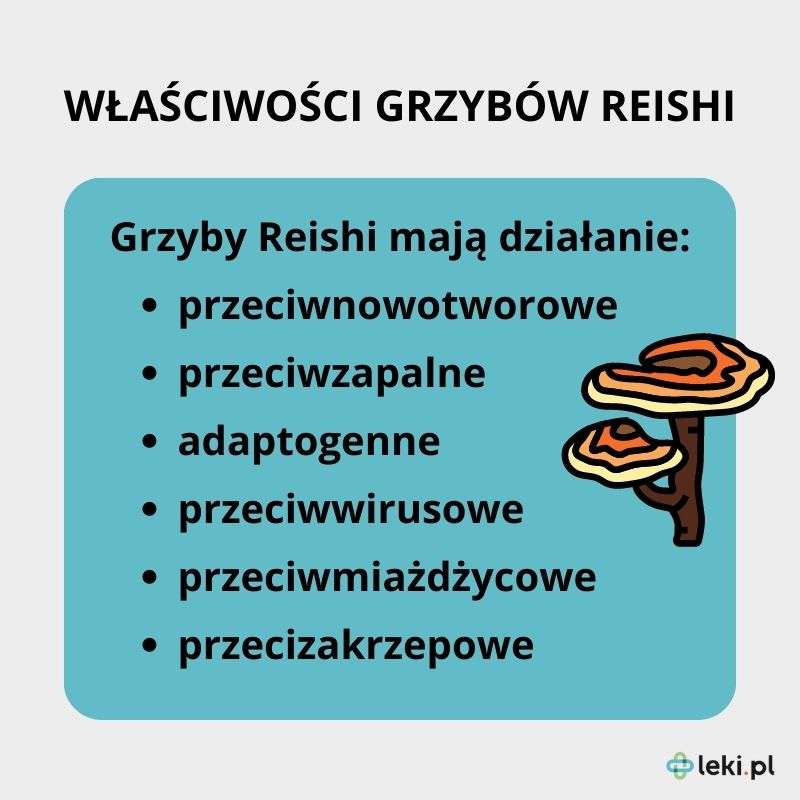 Właściwości grzybów Reishi.