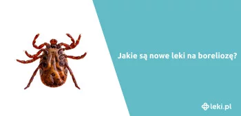 Ilustracja poradnika Jaki jest skuteczny lek na borelioze nowej generacji?