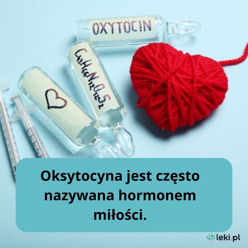 Oksytocyna jako hormon miłości.