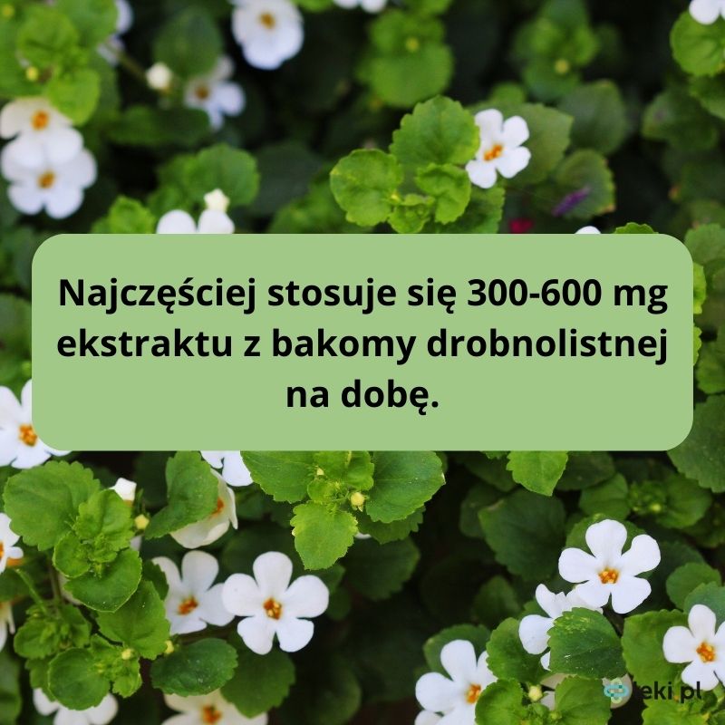 Jak stosować bakopę drobnolistną? 