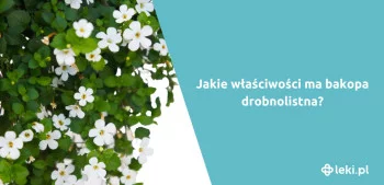 Ilustracja poradnika Jakie właściwości ma Bakopa?