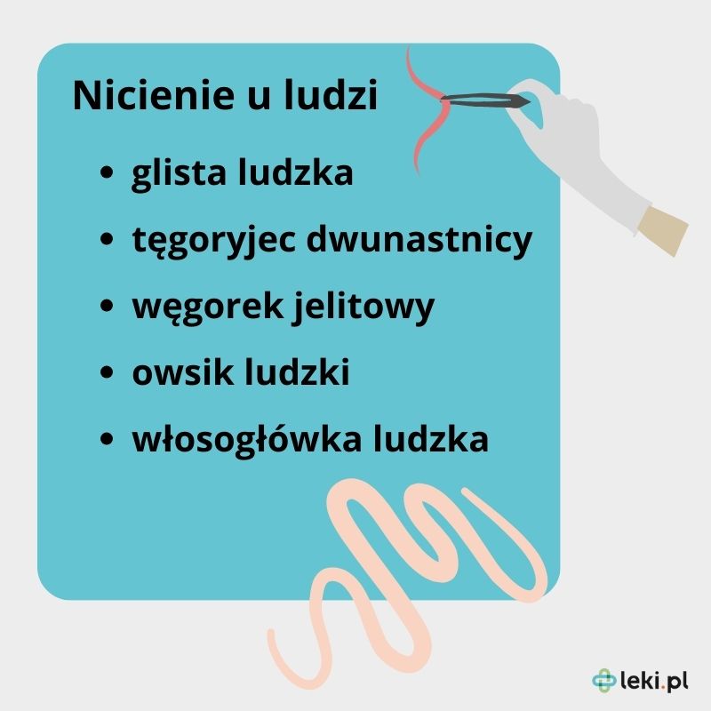 Jakie są nicienie u ludzi? 